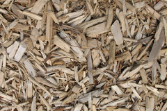 biomass boilers Gartloch